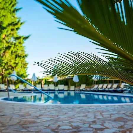 Sunrise Hotel
